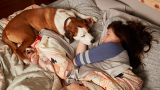 Watch <i>Downward Dog</i> tonight or the dog sitcom dies